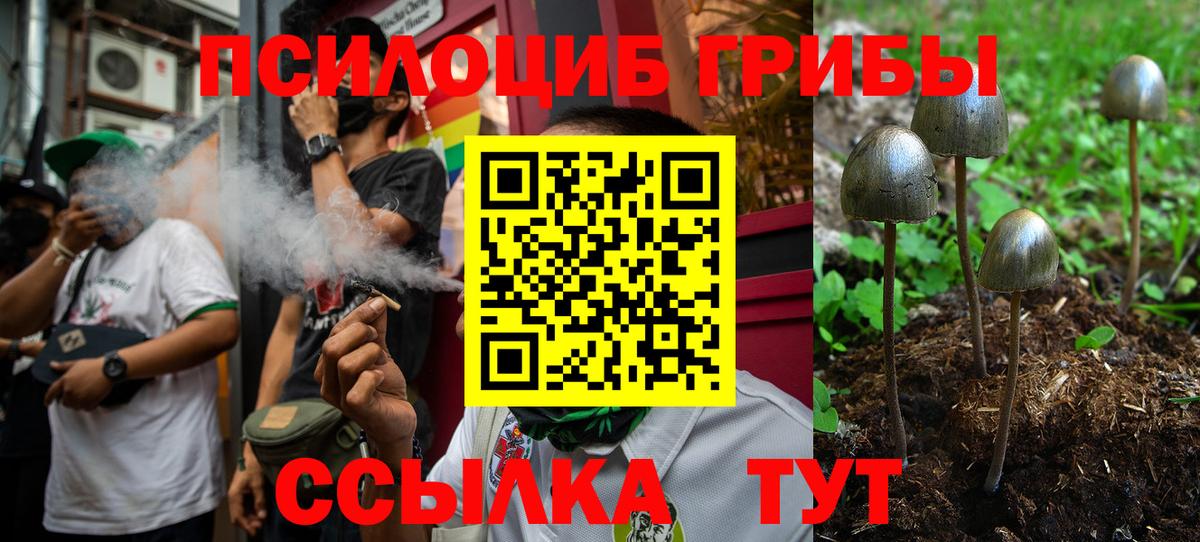 Псилоцибиновые грибы мухоморы  Псилоцибиновые грибы Psilocybine cubensis  Санкт-Петербург  Вход с VPN 