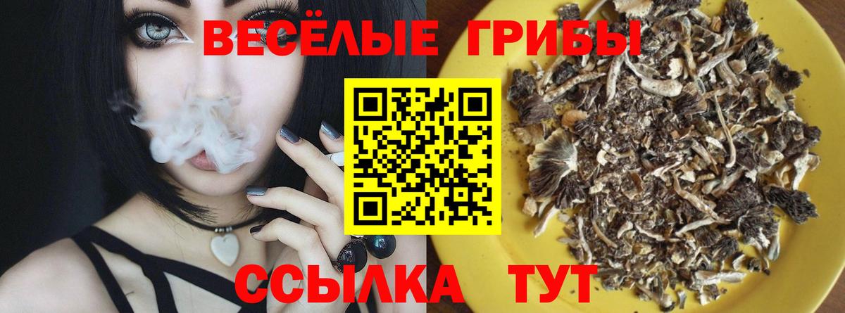 Псилоцибиновые грибы прущие грибы Санкт-Петербург